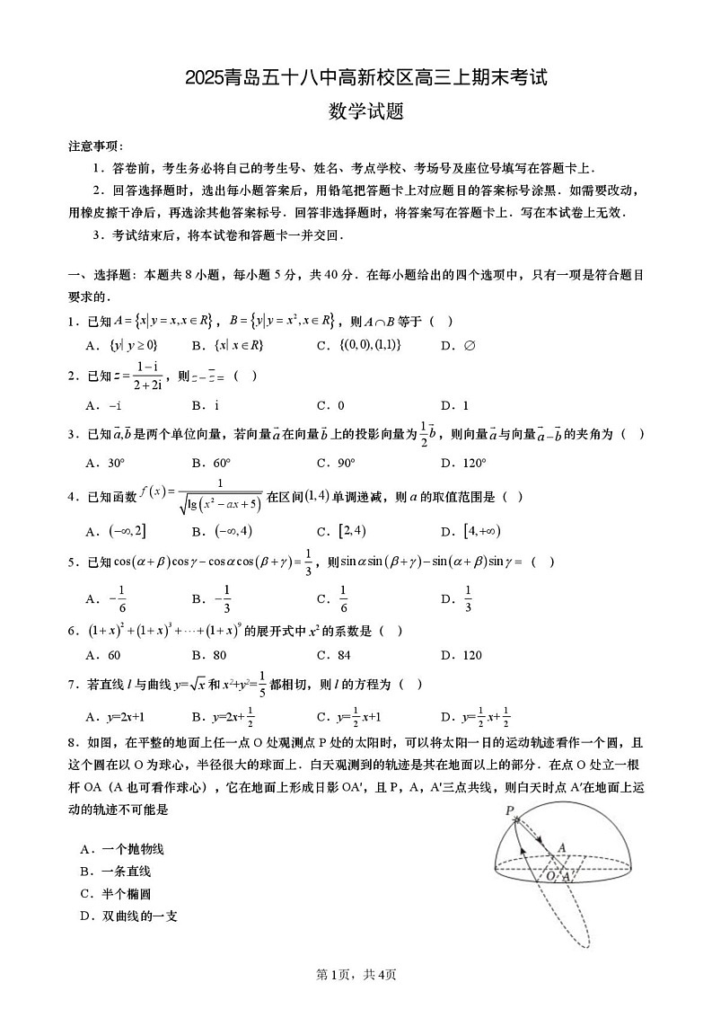 山东省青岛市第五十八中学高新校区2025届高三上学期期末考试数学试题第1页