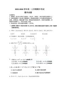 河南省平顶山市叶县高中2025-2026学年高一上学期11月期中数学考试（含答案）