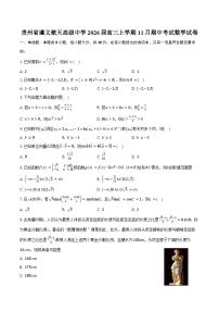 贵州省遵义航天高级中学2026届高三上学期11月期中考试数学试卷（含答案）