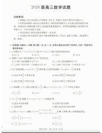 2026届四川省泸州市高三年级上学期第一次模拟考试数学试卷（不含答案）