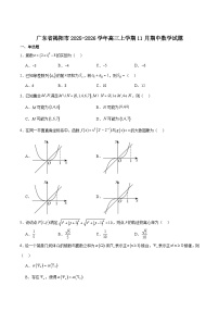 广东省揭阳市2026届高三上学期11月期中考试数学试题（Word版附解析）