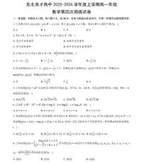 辽宁省沈阳市东北育才学校2025-2026学年高一上学期第四次周测数学试卷（月考）