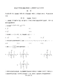 四川省内江市威远中学2026届高三上学期11月阶段性考试数学试题（Word版附解析）