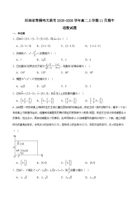 河南省青桐鸣联考2025-2026学年高二上学期11月期中考试数学（理）试卷（Word版附解析）