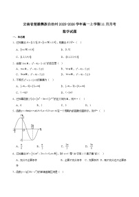 云南省楚雄彝族自治州2025-2026学年高一上学期11月月考数学试卷（Word版附解析）