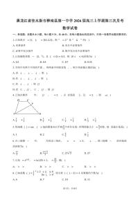 黑龙江省佳木斯市桦南县第一中学2026届高三上学期第三次月考数学试卷（含答案）