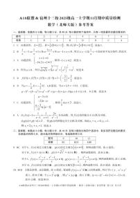 A10联盟&宿州十三校2025级高一上学期11月期中质量检测数学(北师大版)试题及答案