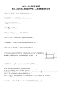 2025~2026学年上海浦东新区上海师范大学附属中学高一上学期期中数学试卷(有答案解析)