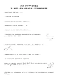 2025~2026学年上海金山区上海师范大学第二附属中学高二上学期期中数学试卷（有答案解析）