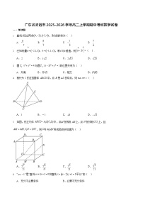 广东省清远市2025-2026学年高二上学期期中考试 数学试卷