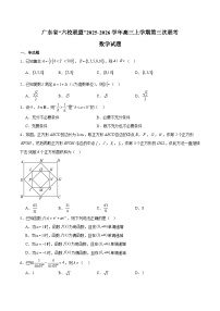 广东省六校联盟2026届高三上学期第三次联考 数学试卷（含答案）