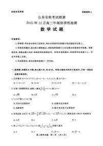 山东名校考试联盟2025-2026学年第一学期12月高三年级阶段性检测数学试卷（含答案）