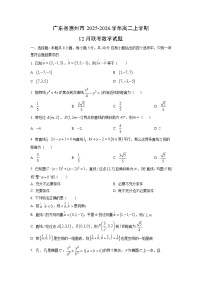 广东省惠州市2025-2026学年高二上学期12月联考数学试卷（学生版）