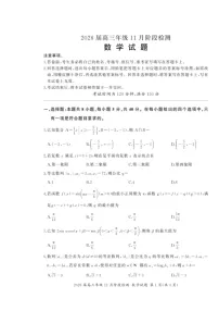 河南省百师联盟2026届高三上学期11月阶段检测试题 数学 含解析