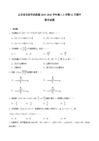 山东省名校考试联盟2026届高三上学期11月期中考试数学试卷（Word版附解析）