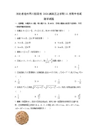 河北省沧州市八校联考2026届高三上学期11月期中考试数学试卷（学生版）