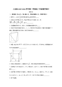 上海市实验中学2025-2026学年高二上学期期中数学试卷及答案