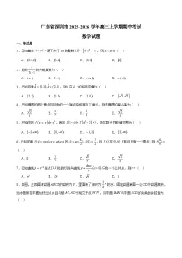 广东省深圳市2026届高三上学期期中联考 数学试卷(含答案）