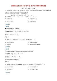 安徽省合肥市2025_2026学年高一数学上学期期末模拟试题含解析