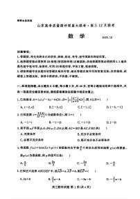 2025-2026学年山东省大联考高三上学期12月数学试题及答案