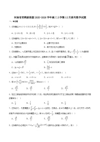 河南省安鹤新联盟2026届高三上学期12月联考数学试卷（Word版附解析）