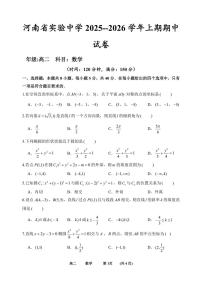 河南省实验中学2025-2026学年高二上学期期中考试数学试卷（含答案）