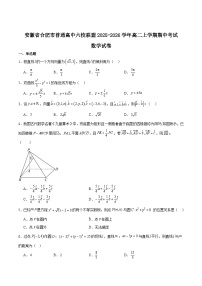 安徽省合肥市普通高中六校联盟2025-2026学年高二上学期11月期中考试数学试卷（Word版附解析）