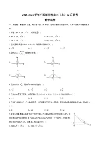 2025-2026学年广西部分校高三(上)联考数学试卷(12月份)(含答案)