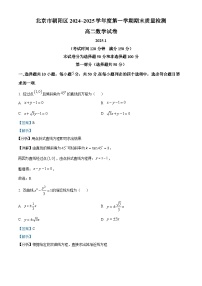 北京市朝阳区2024-2025学年高二上学期期末考试 数学 含解析