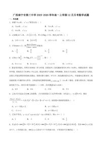 广西南宁市第三中学2025-2026学年高一上学期12月月考数学试卷（含答案）