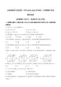 云南省曲靖市马龙县第一中学2025-2026学年高二上学期期中考试数学试卷(含答案)