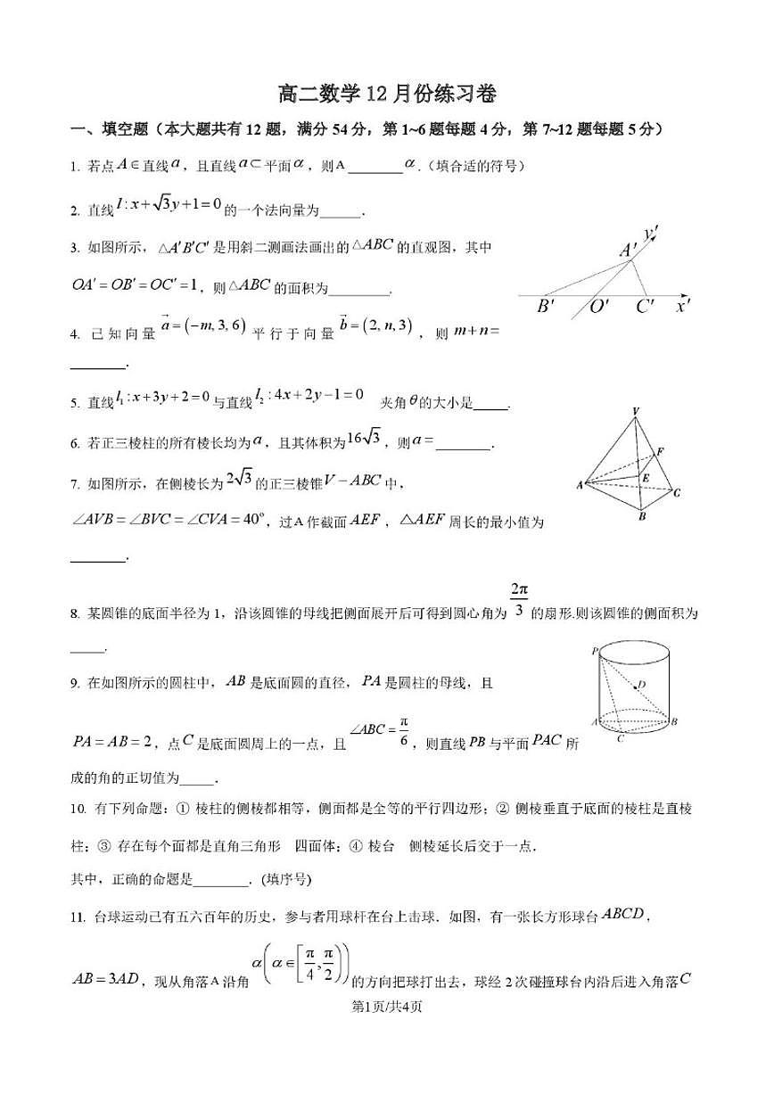 上海市沪新中学2025-2026学年高二上学期12月月考数学试卷(图片版,含答案)第1页