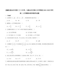 新疆乌鲁木齐市第二十三中学等校2024-2025学年高二上学期期末联考数学试卷（含答案）