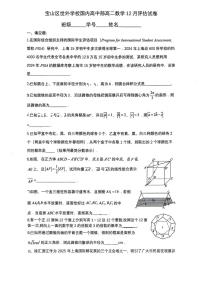 上海市宝山区世外学校2025-2026学年高二上学期12月评估数学试卷(月考)