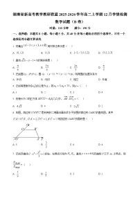 湖南省新高考教学教研联盟2025-2026学年高二上学期12月学情检测数学（B卷）试题（Word版附解析）