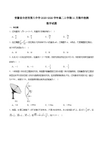 2026智学大联考・皖中名校联盟（合肥八中）高二上学期11月期中考试数学含解析