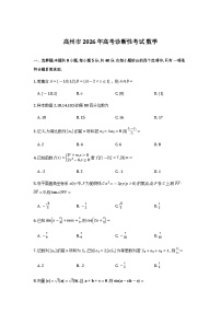 广东省高州2026届高三上学期高考诊断性考试数学含解析（word版+pdf版）