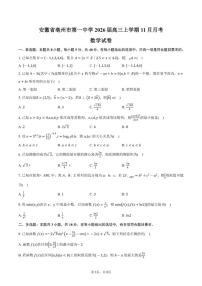 安徽省亳州市第一中学2026届高三上学期11月月考数学试卷（含答案）