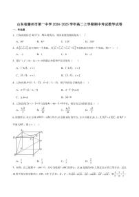 山东省滕州市第一中学2024-2025学年高二上学期期中质量检测数学试卷
