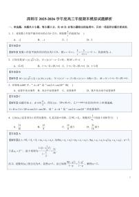 广东深圳2026届高三上学期期末数学模拟试题+答案