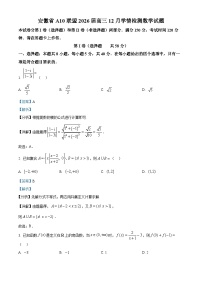 安徽省A10联盟2025-2026学年高三上学期12月学情检测数学试题（Word版附解析）