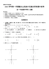 浙江省丽水市丽水五校高中发展共同体2024-2025学年高一上学期11月期中联考数学试题