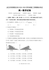 湖北省武汉市常青联盟2024-2025学年度下学期高一年级6月联考数学试卷