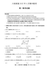 河北省保定市六校联盟2024-2025学年高一下学期4月期中考试数学试卷（无答案）