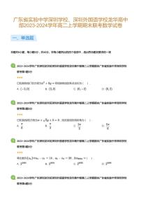 2023-2024学年深圳外国语学校龙华部高二(上)期末数学试卷含答案