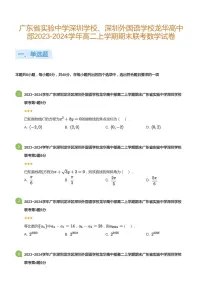 2023-2024学年深圳外国语学校龙华部高二(上)期末数学试卷含答案