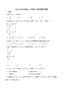 河北省石家庄市等两地2025-2026学年高二上学期12月联考数学试卷（Word版附解析）