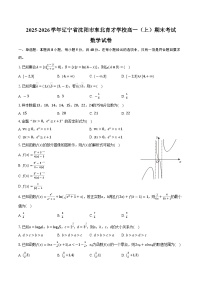 2025-2026学年辽宁省沈阳市东北育才学校高一（上）期末数学试卷（含答案）