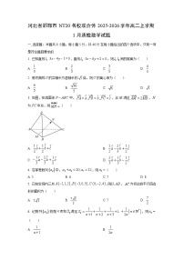 2025-2026学年河北省邯郸市NT20名校联合体高二上学期1月质检数学试卷（学生版）