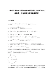 上海市上海交通大学附属中学闵行分校2025-2026学年高一上学期期末考试数学试题(含答案解析)